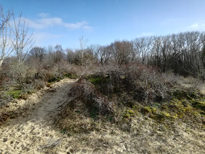 De Panne (België)